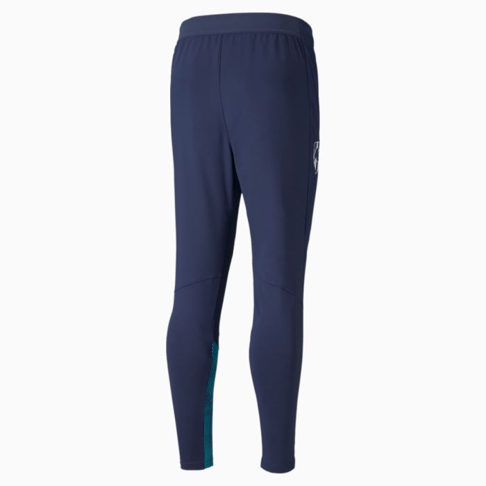 Puma training sales pants pro