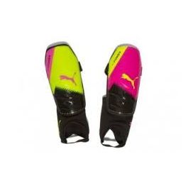 evopower 3.3